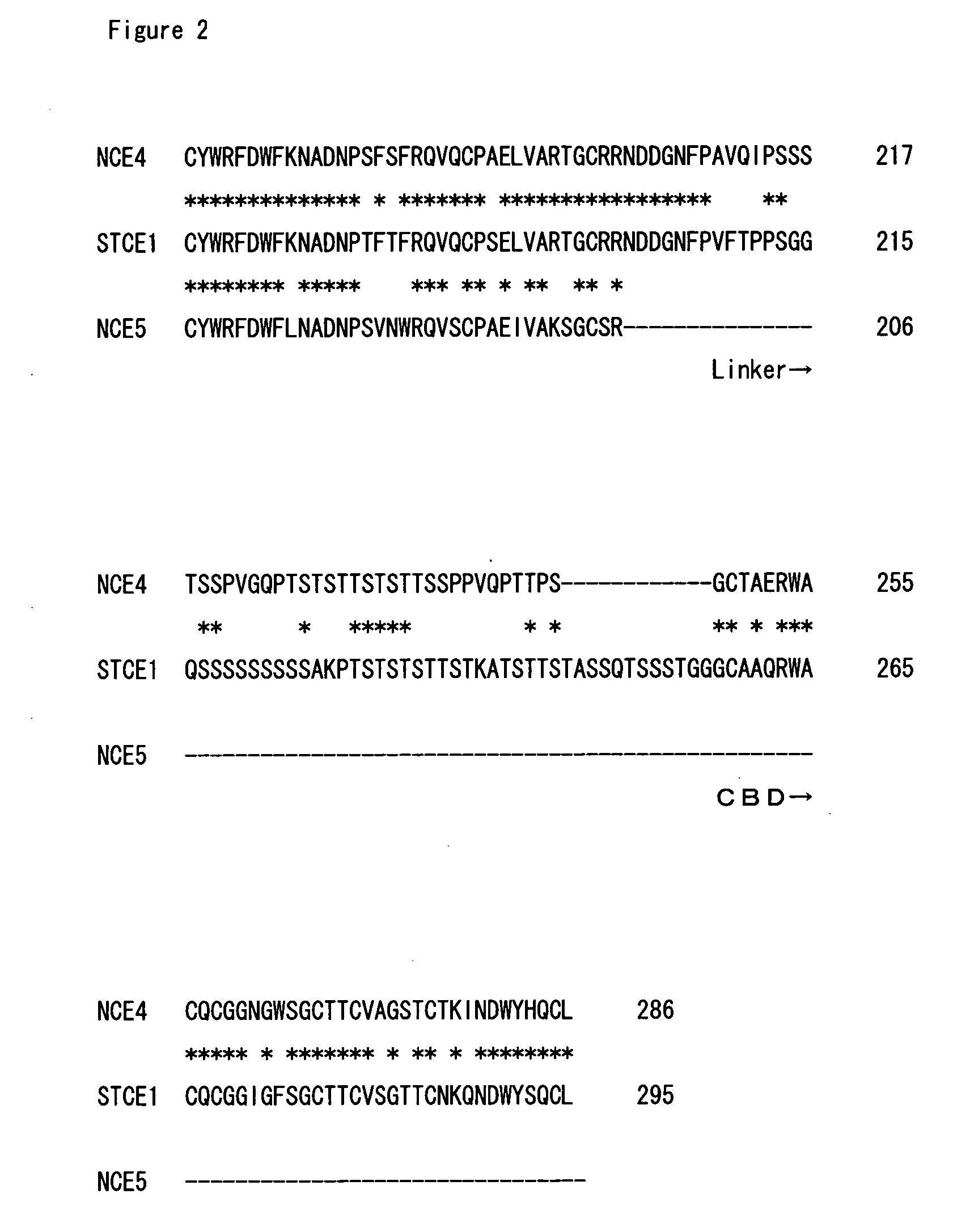Endoglucanase stce and cellulase preparation containing the same