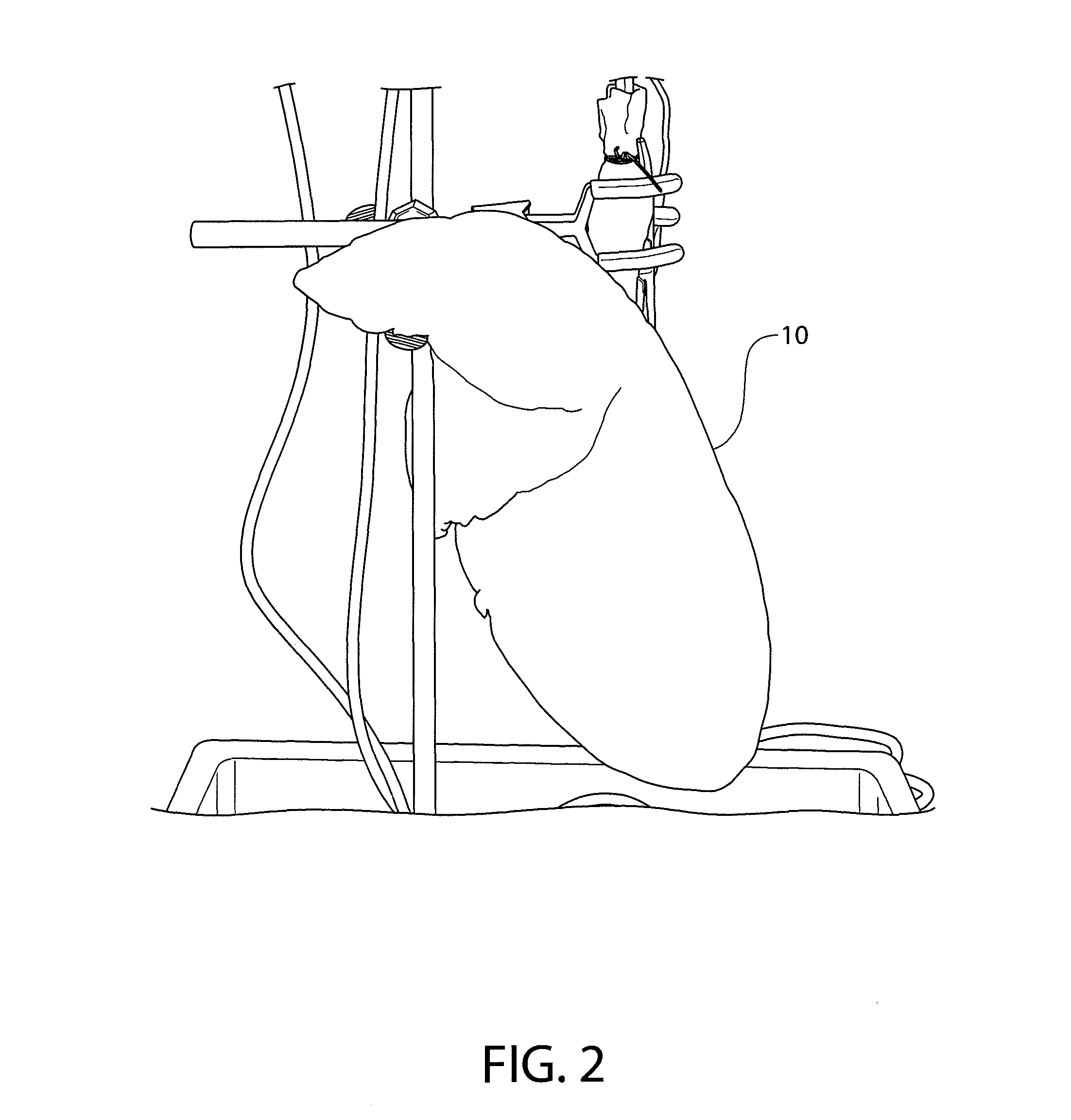 System and method for detection and repair of pulmonary air leaks