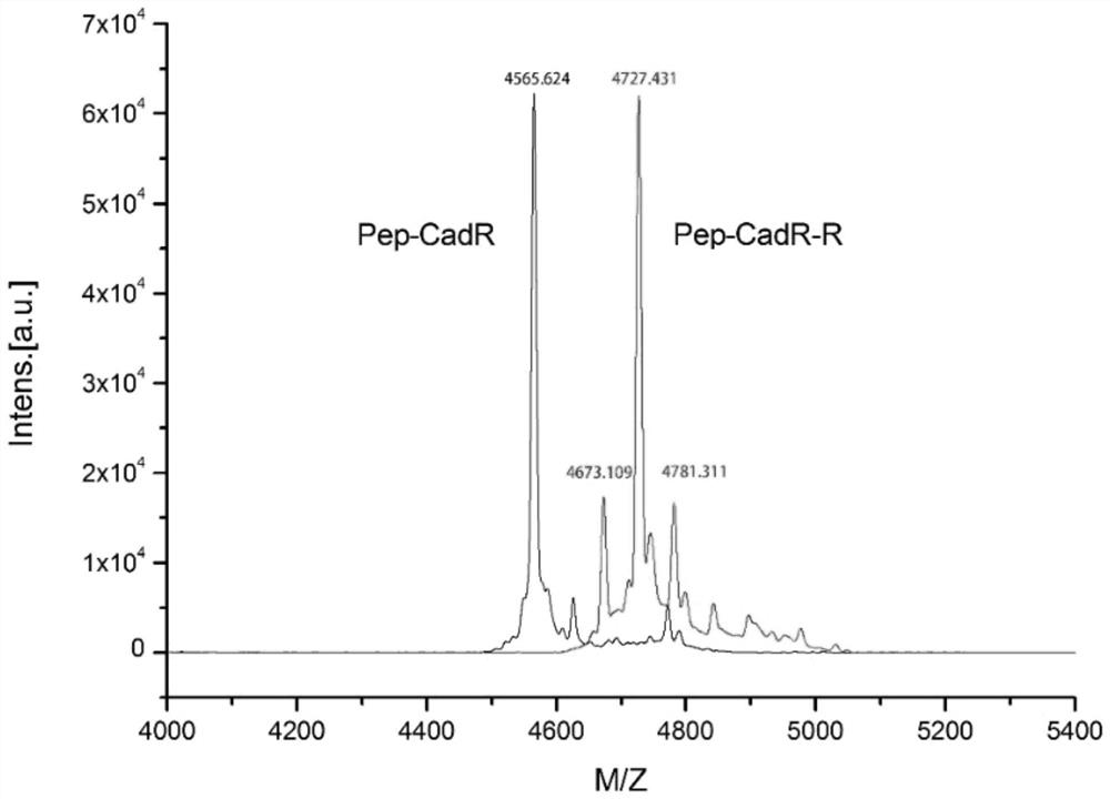 A kind of environmentally sensitive gel of cross-linked metalloprotein and its application