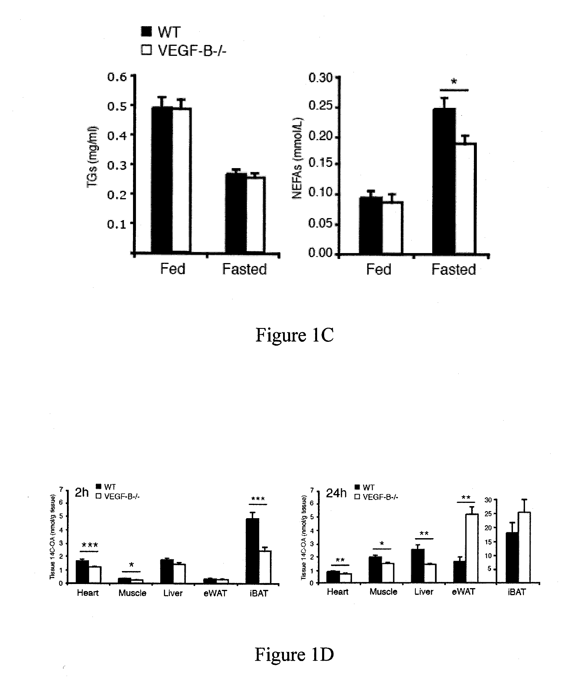 Regulation of fatty acid transporters