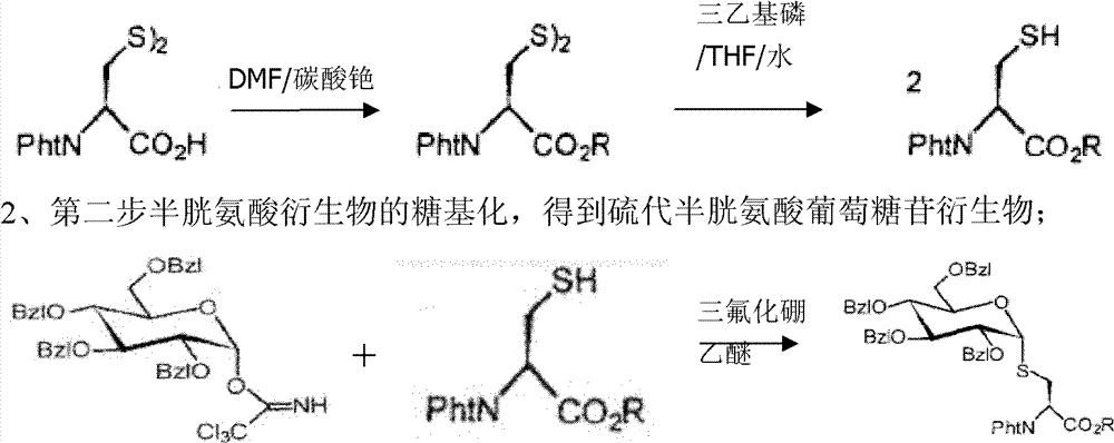 Enzymatic synthesis method of S-alpha-D-glucoside-L-cysteine