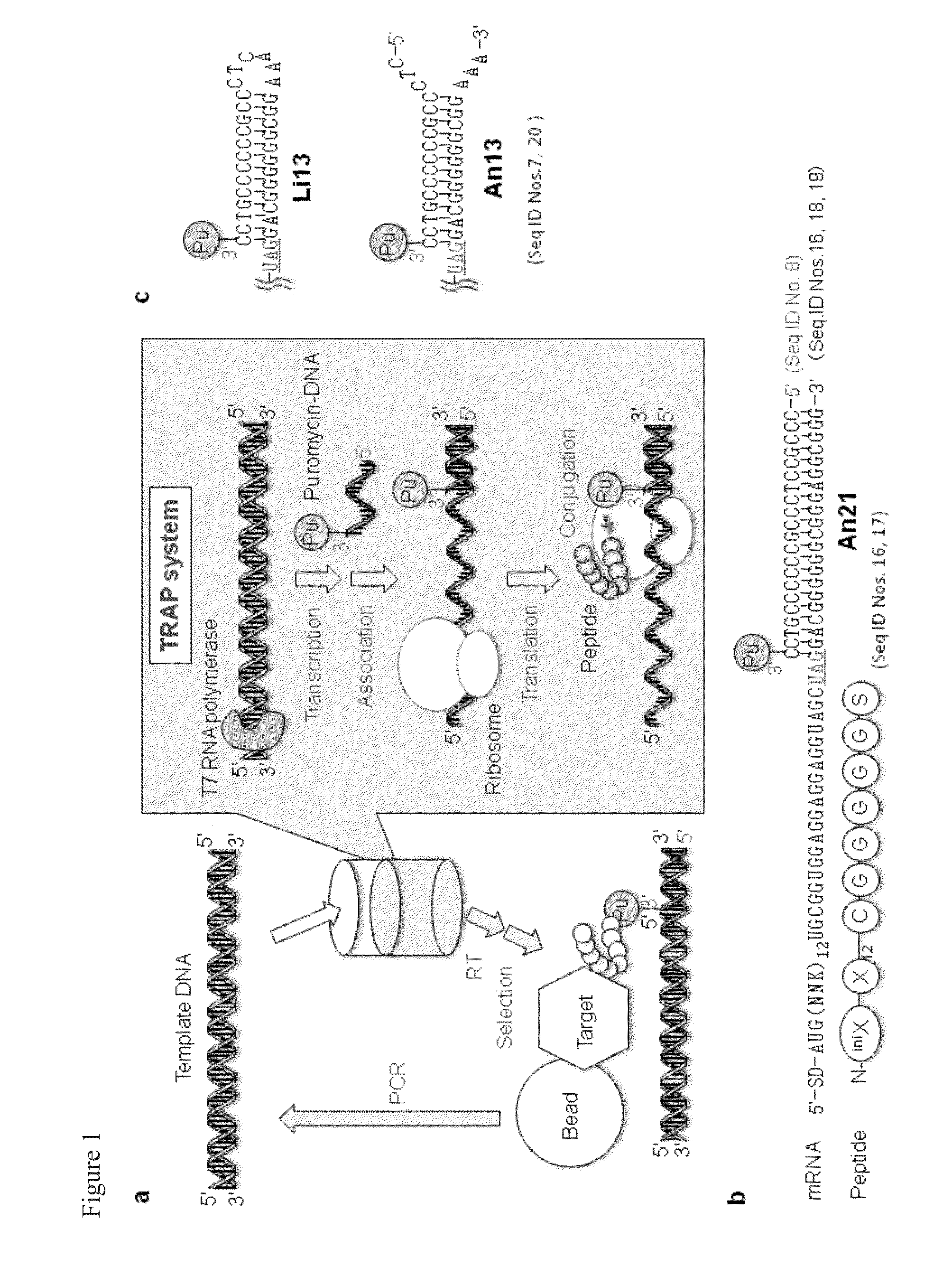 Flexible display method