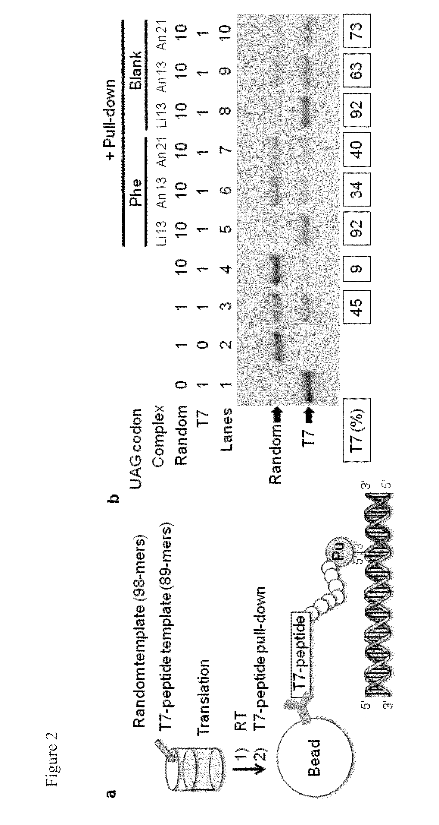 Flexible display method