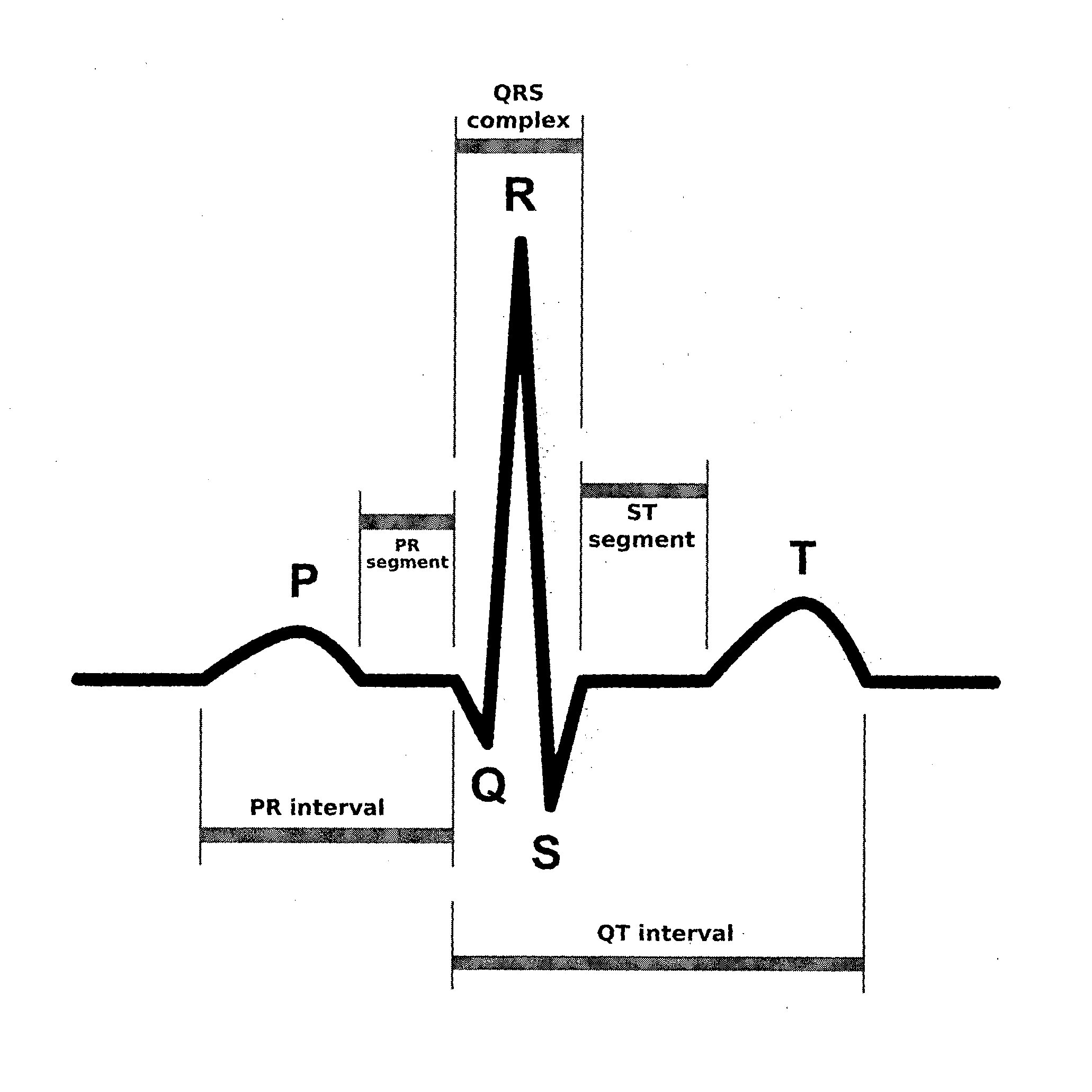 Device and method for continuous biometric recognition based on electrocardiographic signals