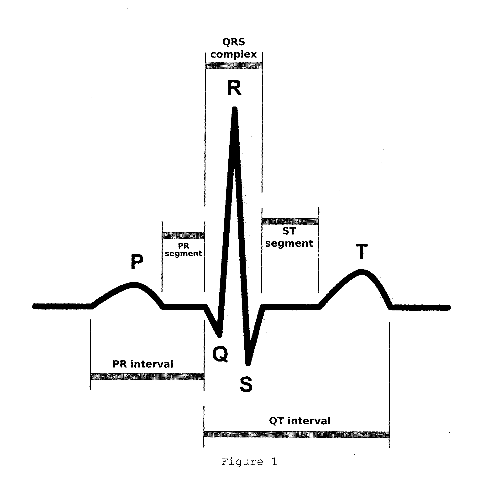 Device and method for continuous biometric recognition based on electrocardiographic signals