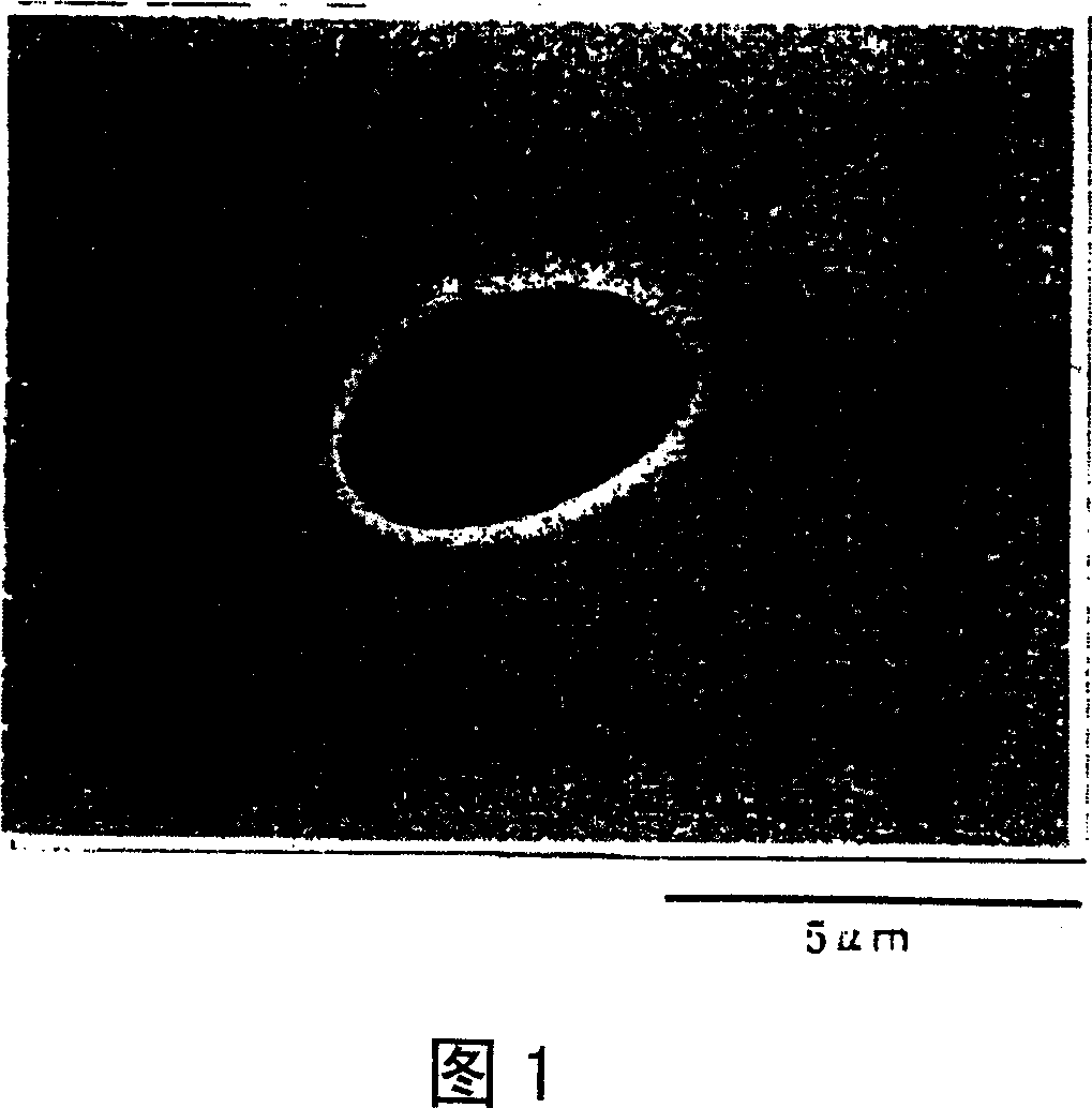 Superficial character fine Fe-Ni kind camouflage plate