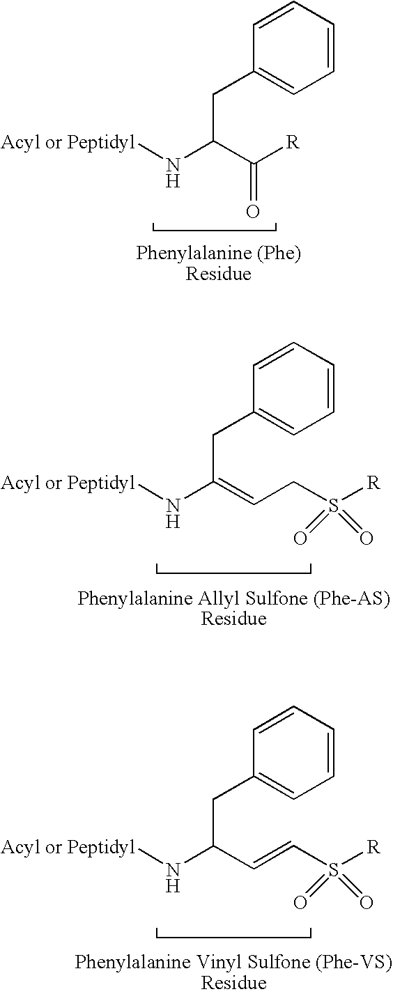 Peptidyl allyl sulfones