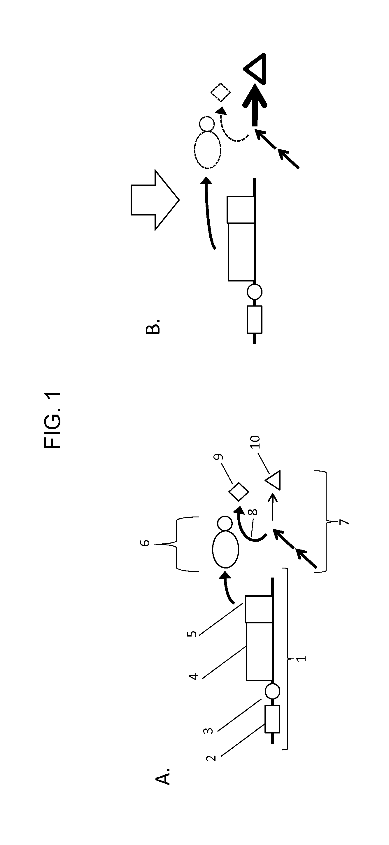 Methods and Molecules for Yield Improvement Involving Metabolic Engineering
