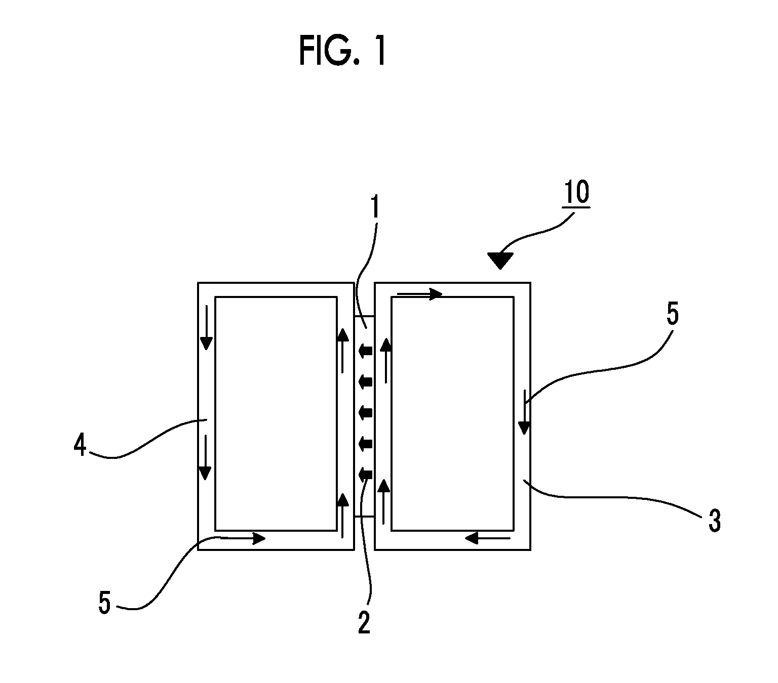 Functional polymer membrane and method for producing same