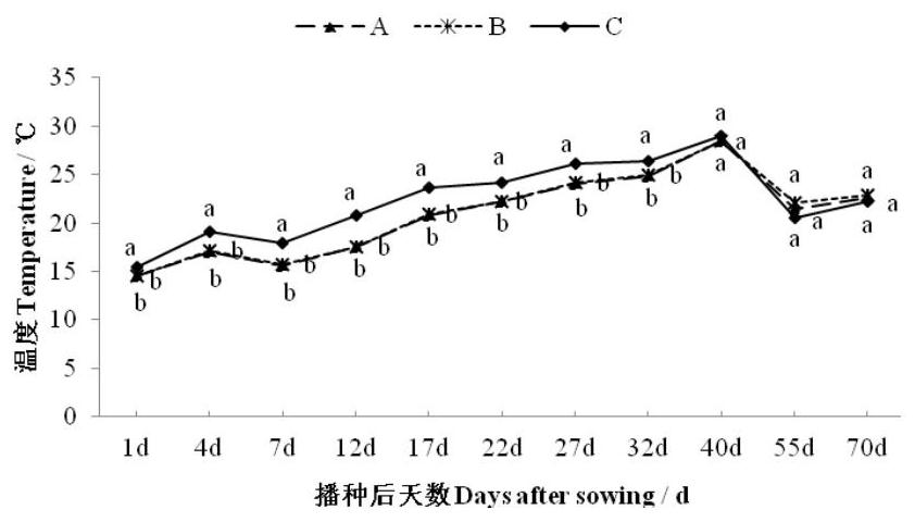 Wide-narrow-row one-hole double-plant on-film soil covering cultivation method for sorghum sudanense