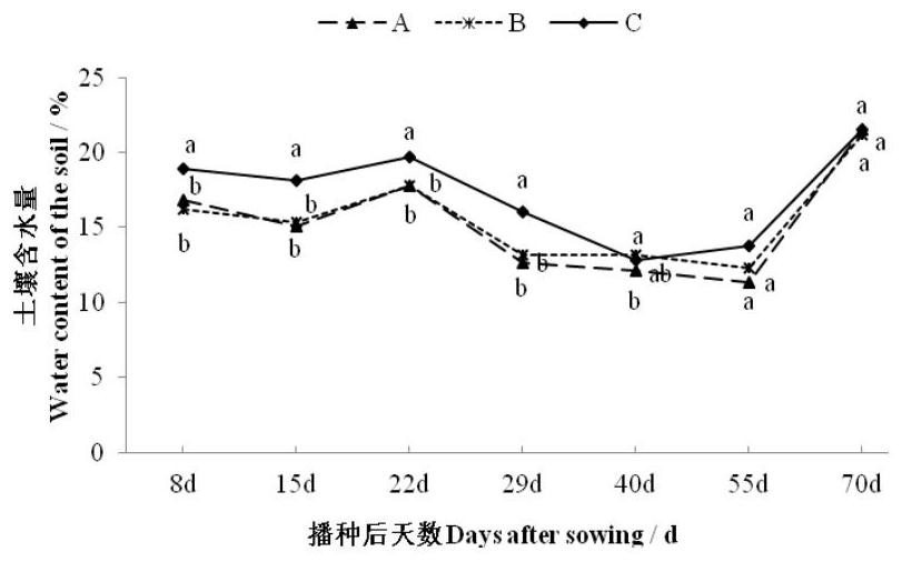 Wide-narrow-row one-hole double-plant on-film soil covering cultivation method for sorghum sudanense