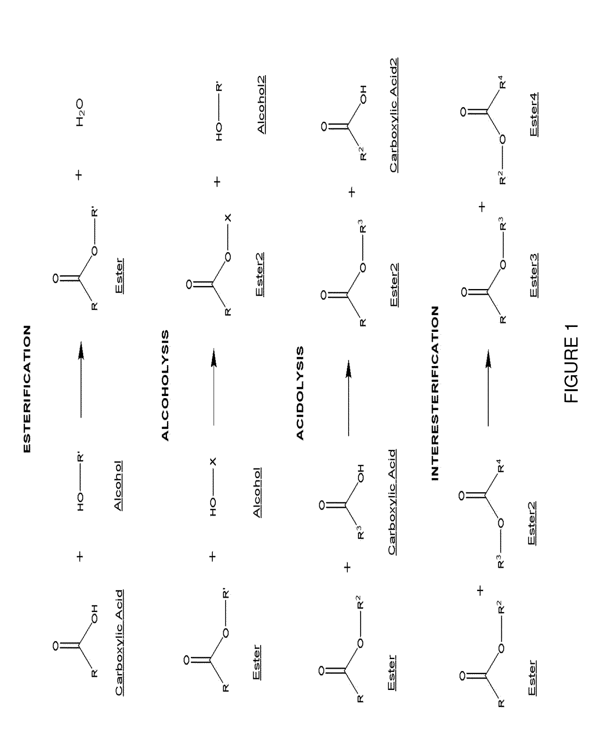 Anti-infective antimicrobial-containing biomaterials