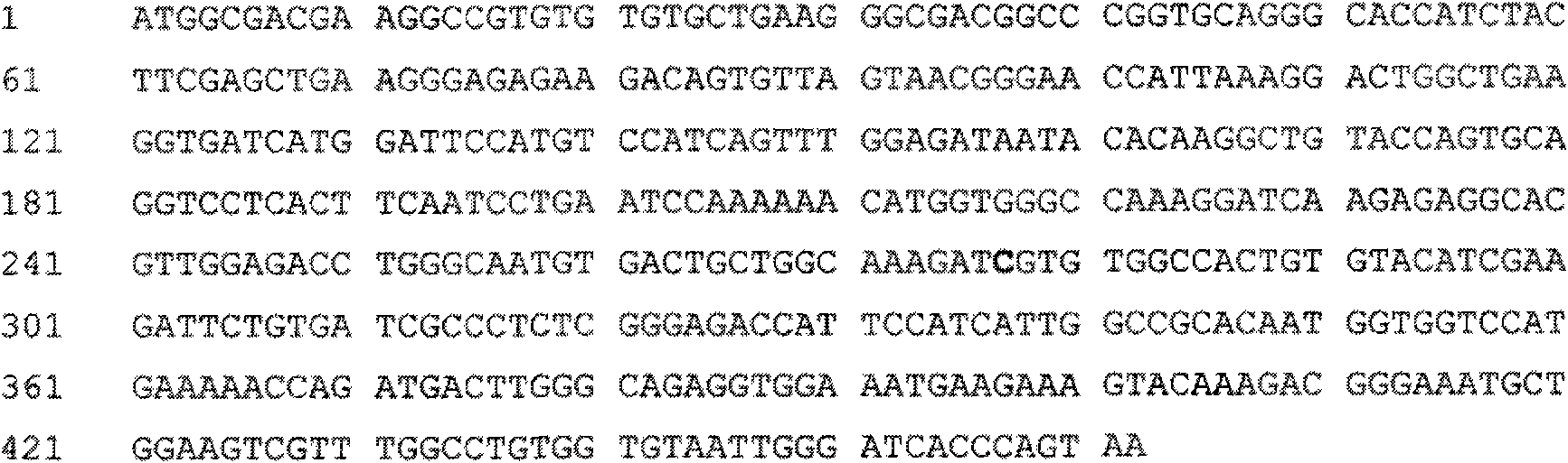 An animal model and a method for producing an animal model