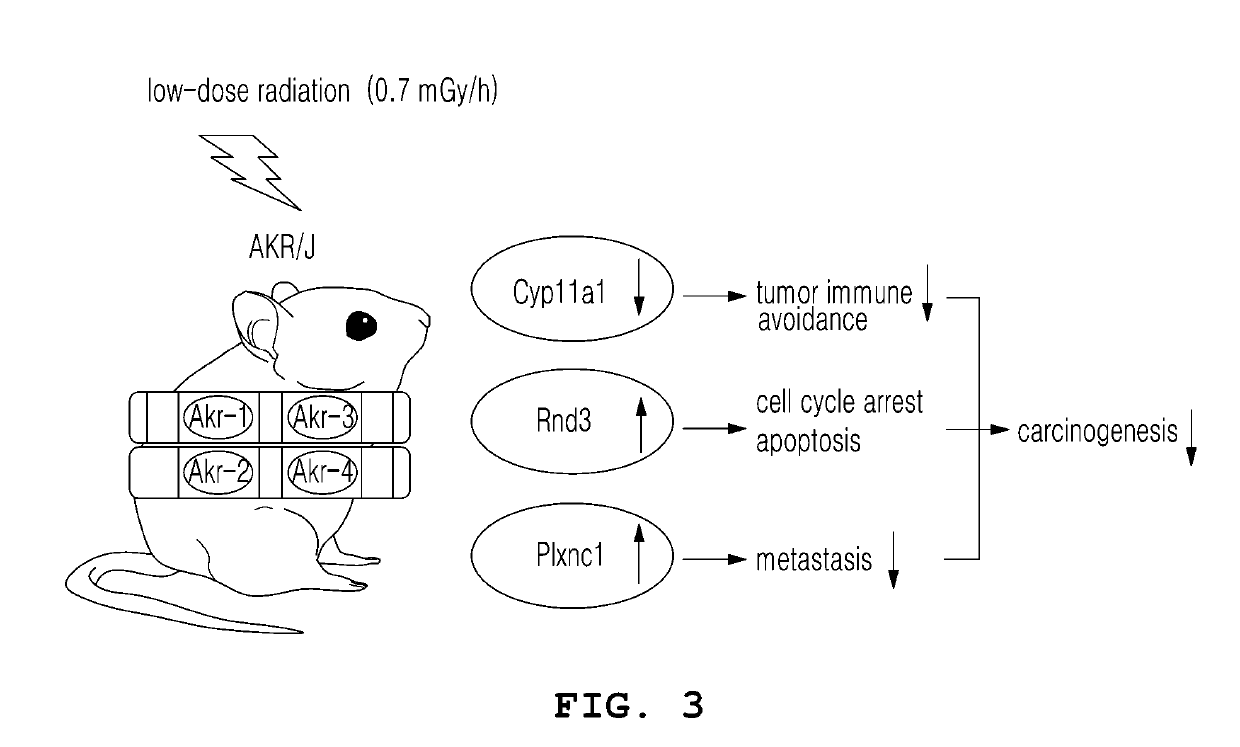 Detection method for DNA repair-related genes which respond to low-level radiation