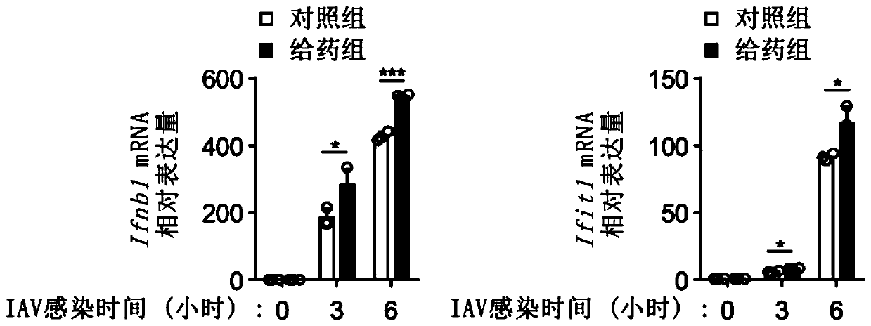 Glucosamine and application of derivative of glucosamine as antiviral drug