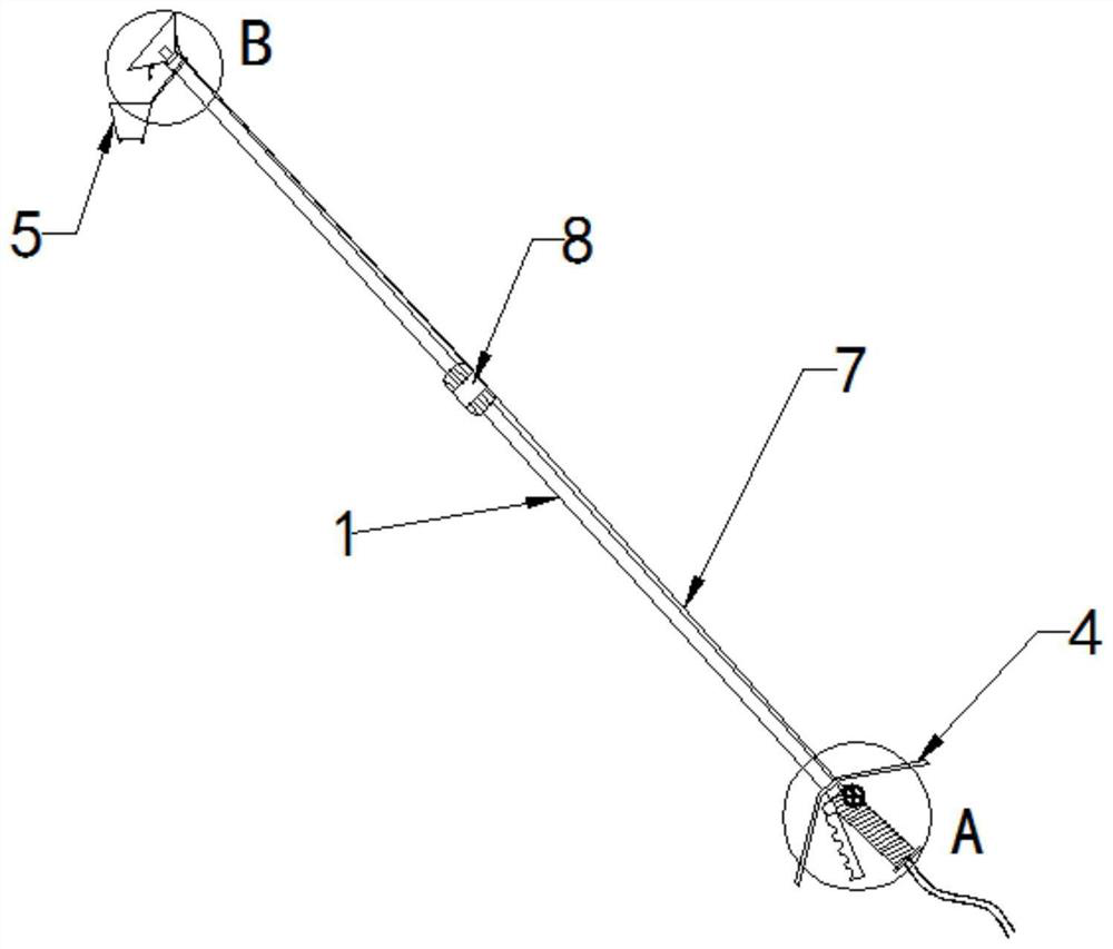 Hand-held pesticide spraying device for navel orange planting