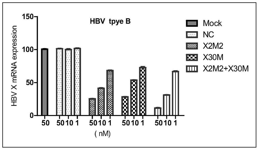 A kind of small interfering nucleic acid pharmaceutical composition and use thereof