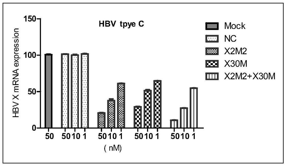 A kind of small interfering nucleic acid pharmaceutical composition and use thereof