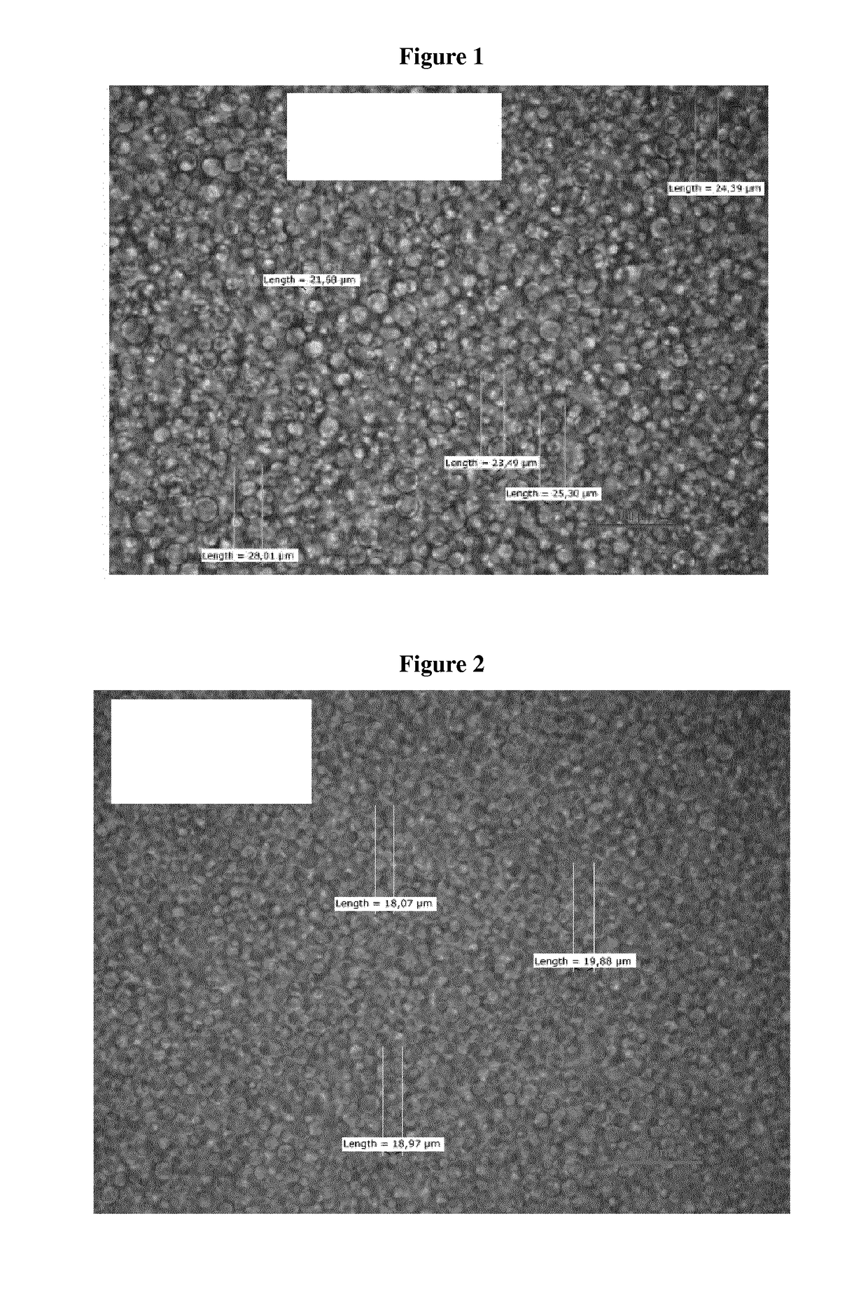 Transdermal Delivery System Including an Interface Mediator