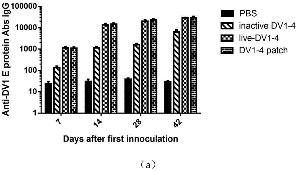 Novel dengue fever microneedle vaccine and preparation method thereof