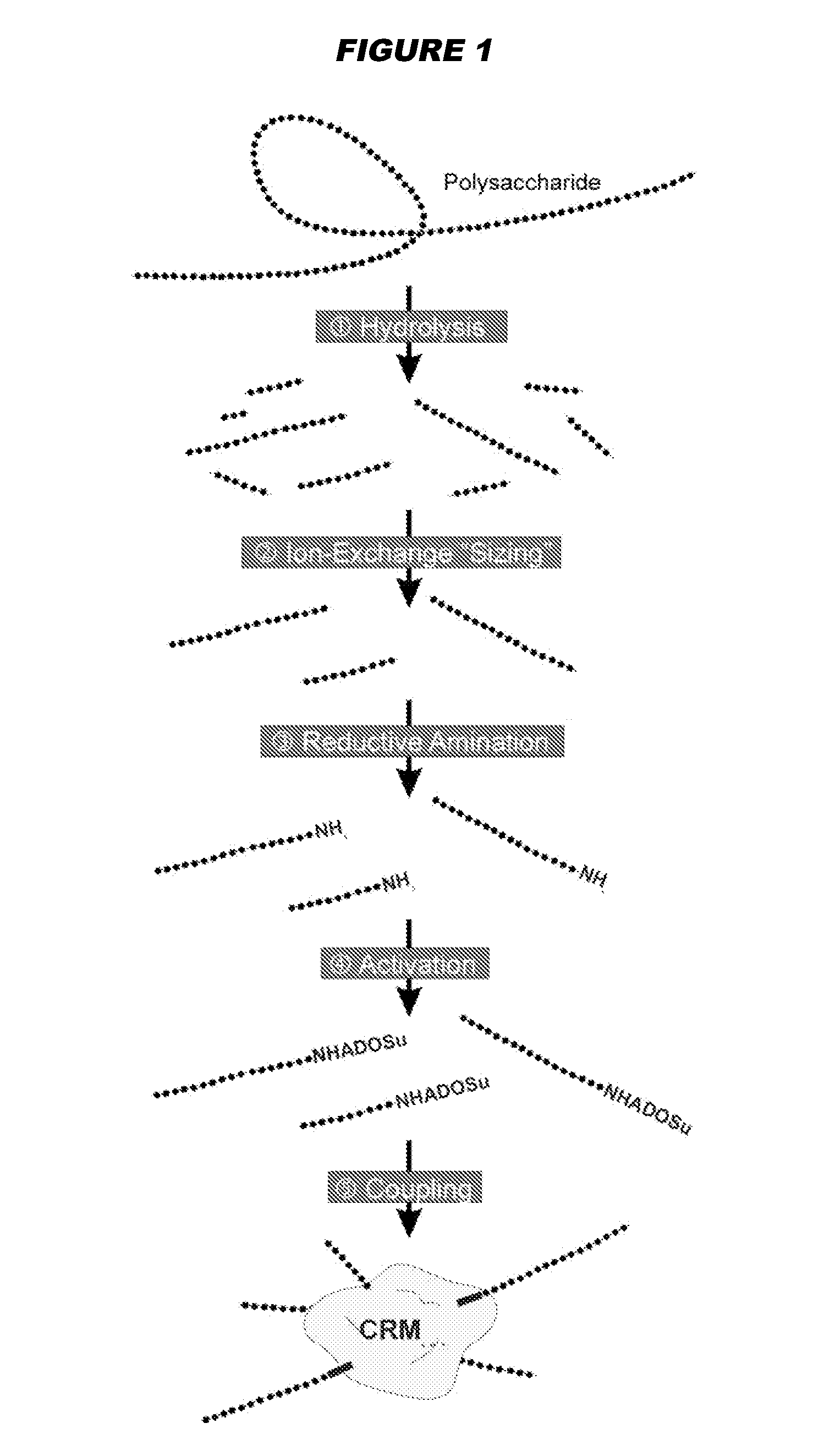 Mucosal meningococcal vaccines