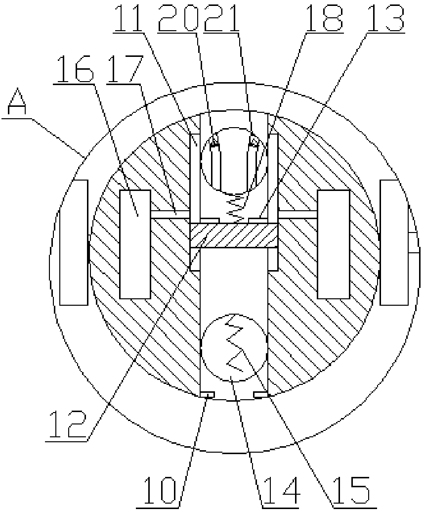 Automobile tire washing device