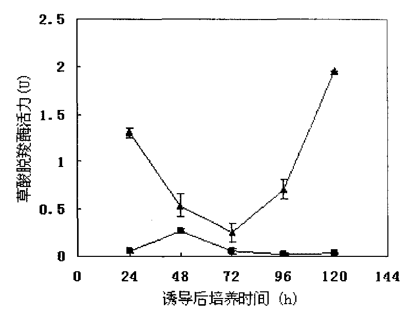 Method for culturing coriolus versicolor induced oxalate decarboxylase by using straw carbon source