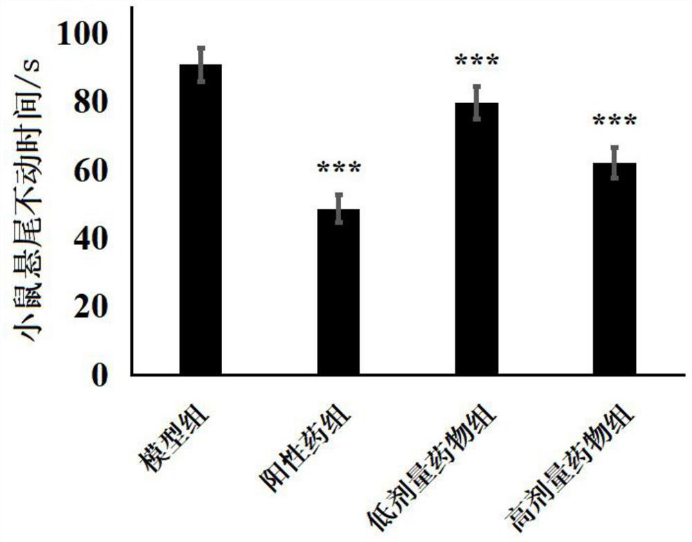 Rubus parvifolius fractional polysaccharide, preparation method and application of rubus parvifolius fractional polysaccharide in depression resistance