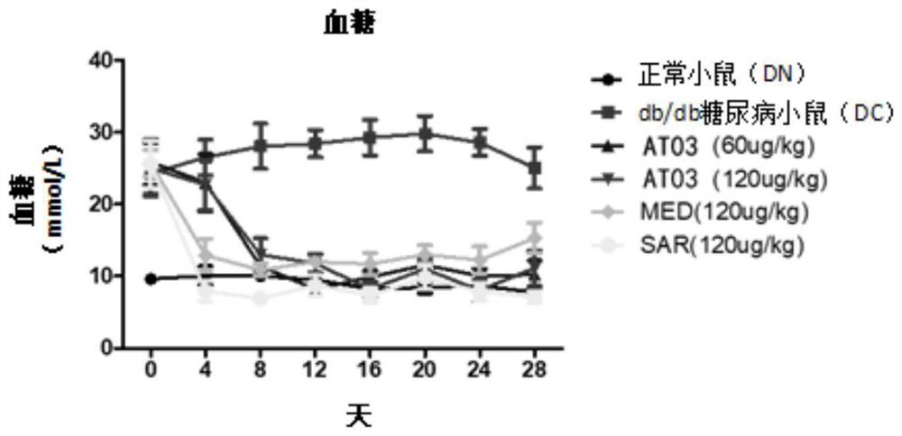 Application of polypeptide AT03 in drug for treating diabetic nephropathy