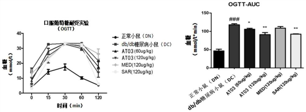 Application of polypeptide AT03 in drug for treating diabetic nephropathy