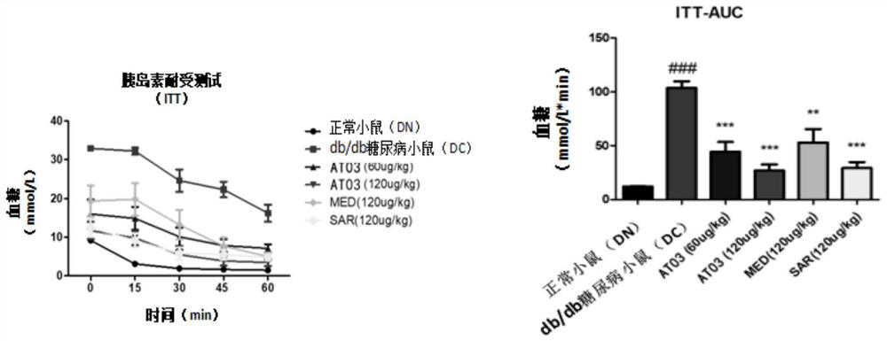 Application of polypeptide AT03 in drug for treating diabetic nephropathy