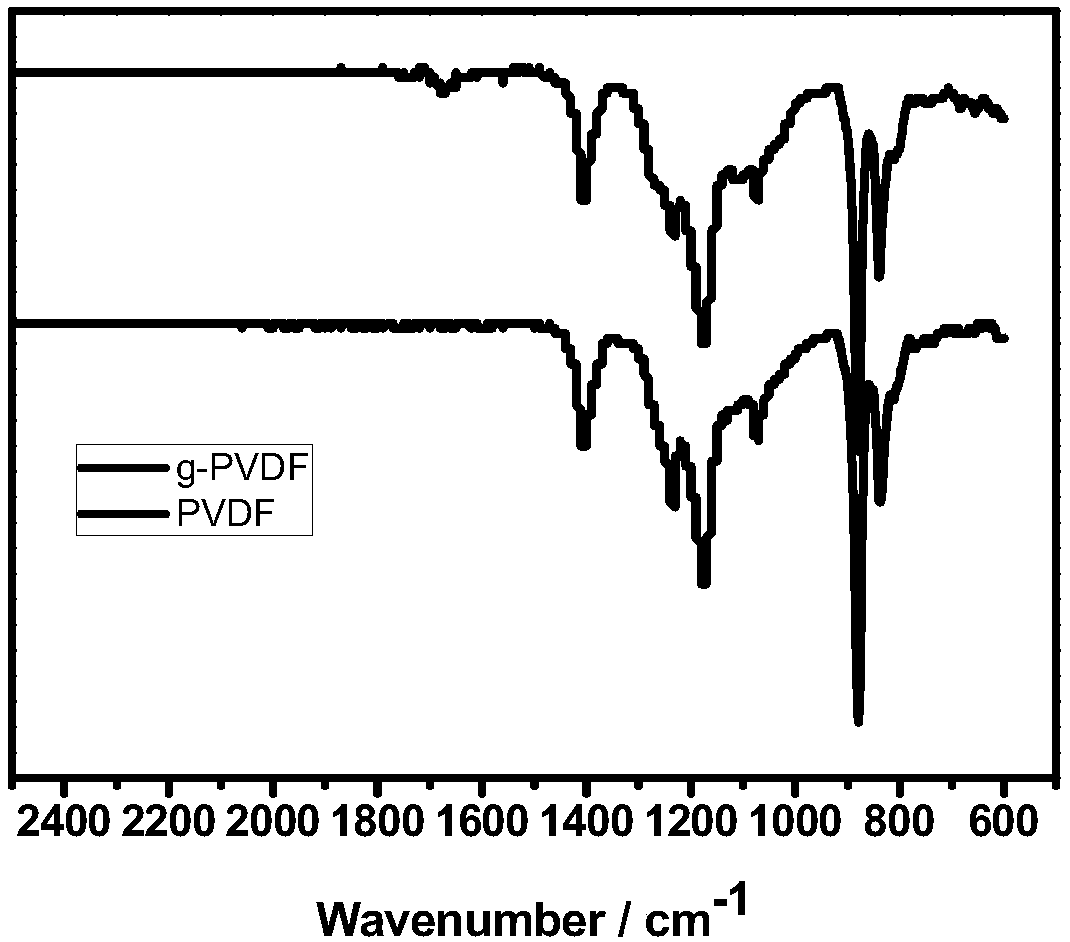 Novel single ion polymer electrolyte and preparation method and application thereof