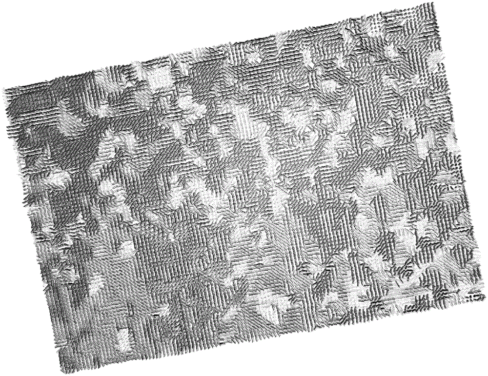 A Fractured Reservoir Characterization Method and Device