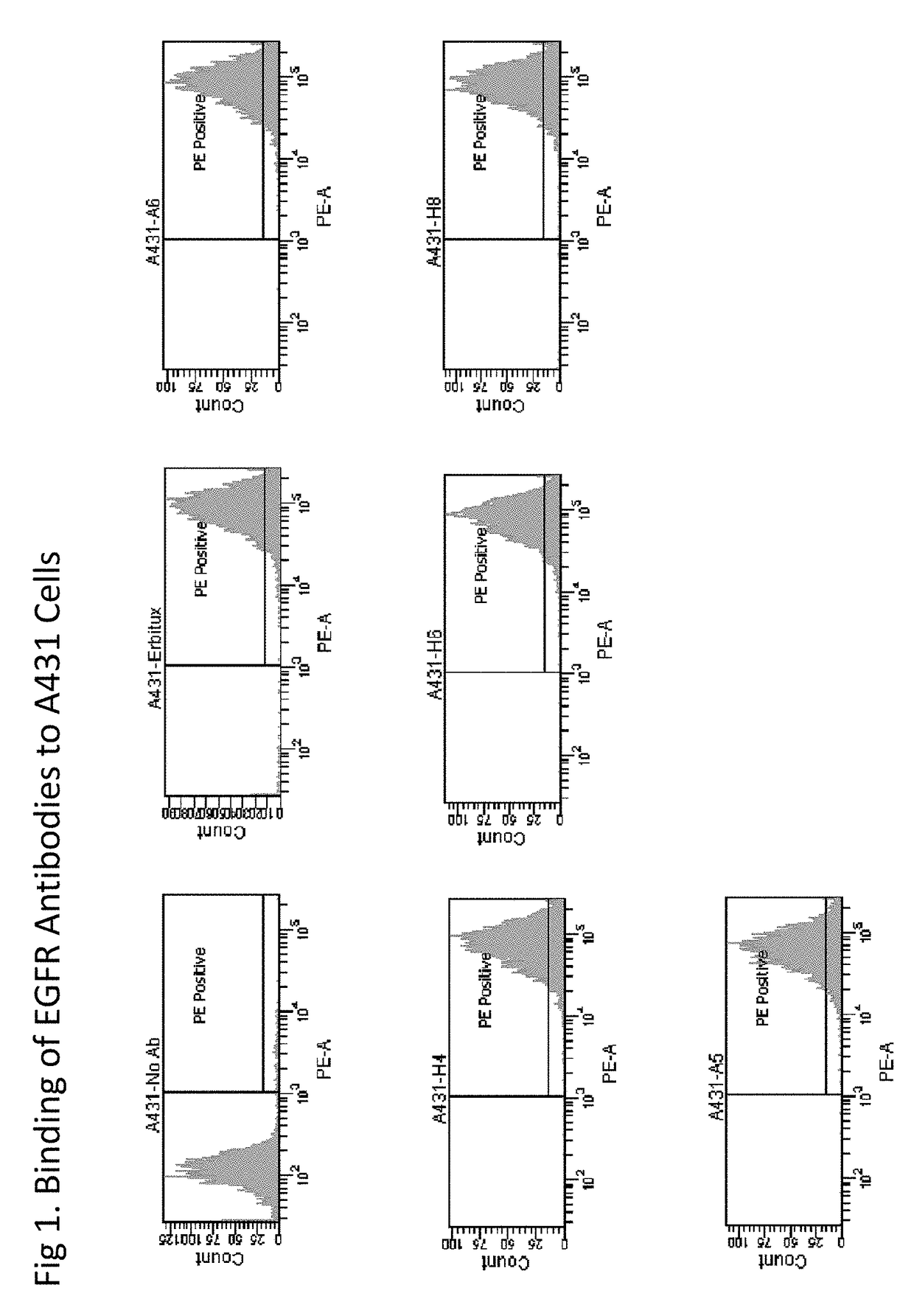 Antibodies that bind epidermal growth factor receptor (EGFR)