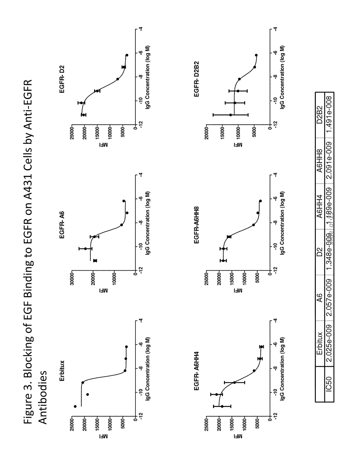 Antibodies that bind epidermal growth factor receptor (EGFR)