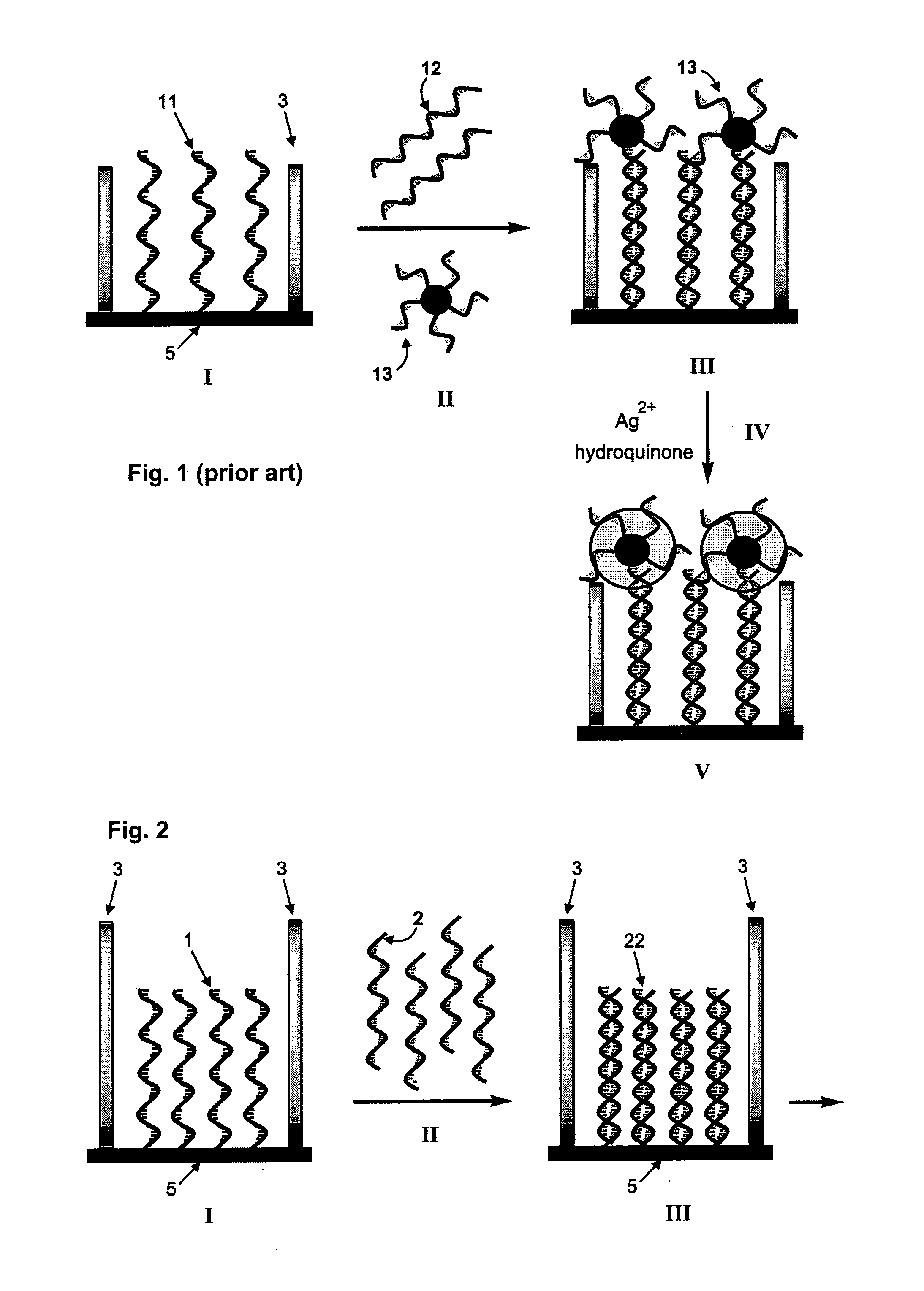 Method of electrically detecting a nucleic acid molecule