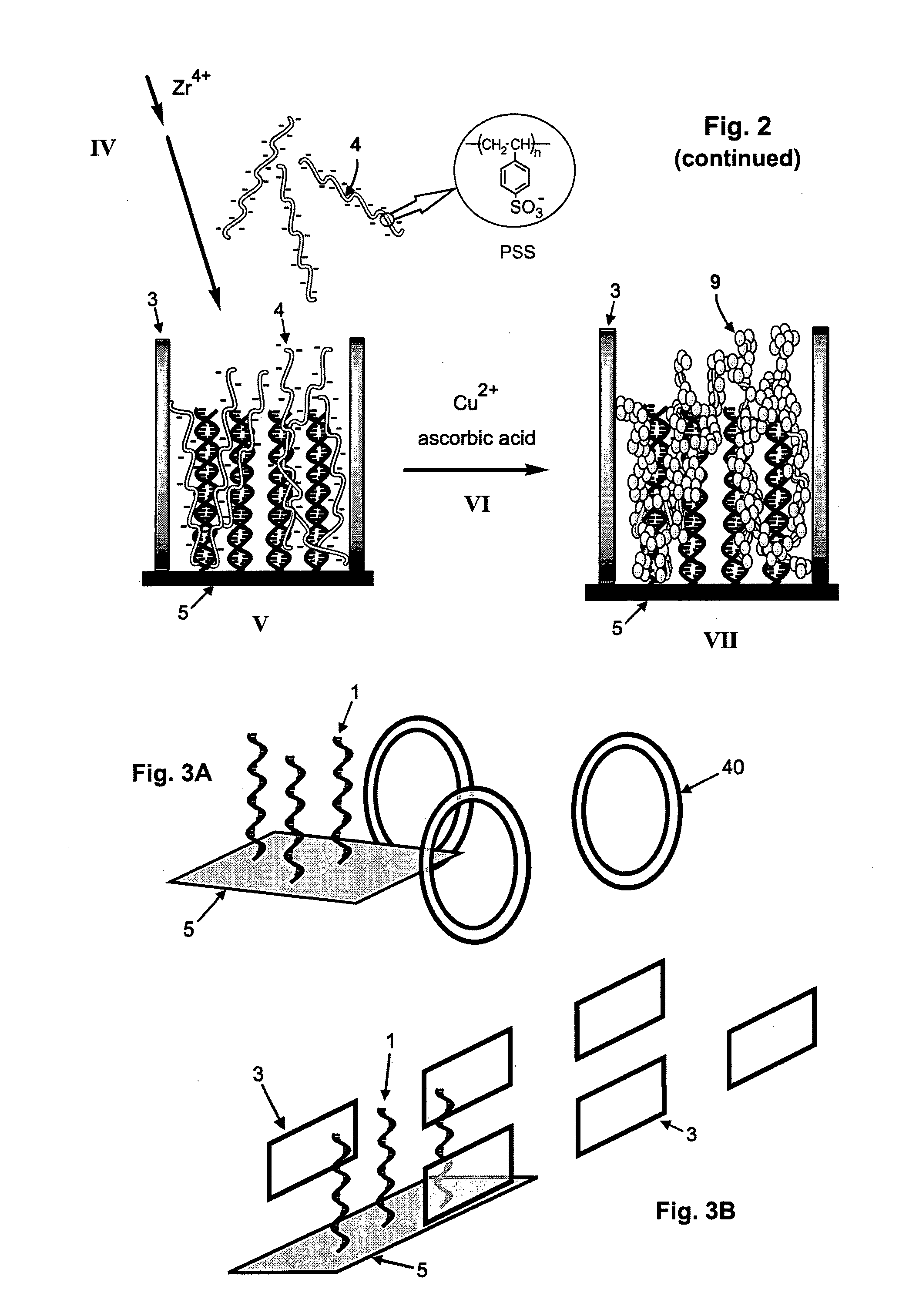 Method of electrically detecting a nucleic acid molecule