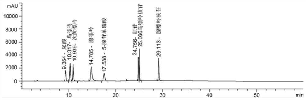 Method for detecting adsorption efficiency of medicine on nucleic acid metabolite and application of method