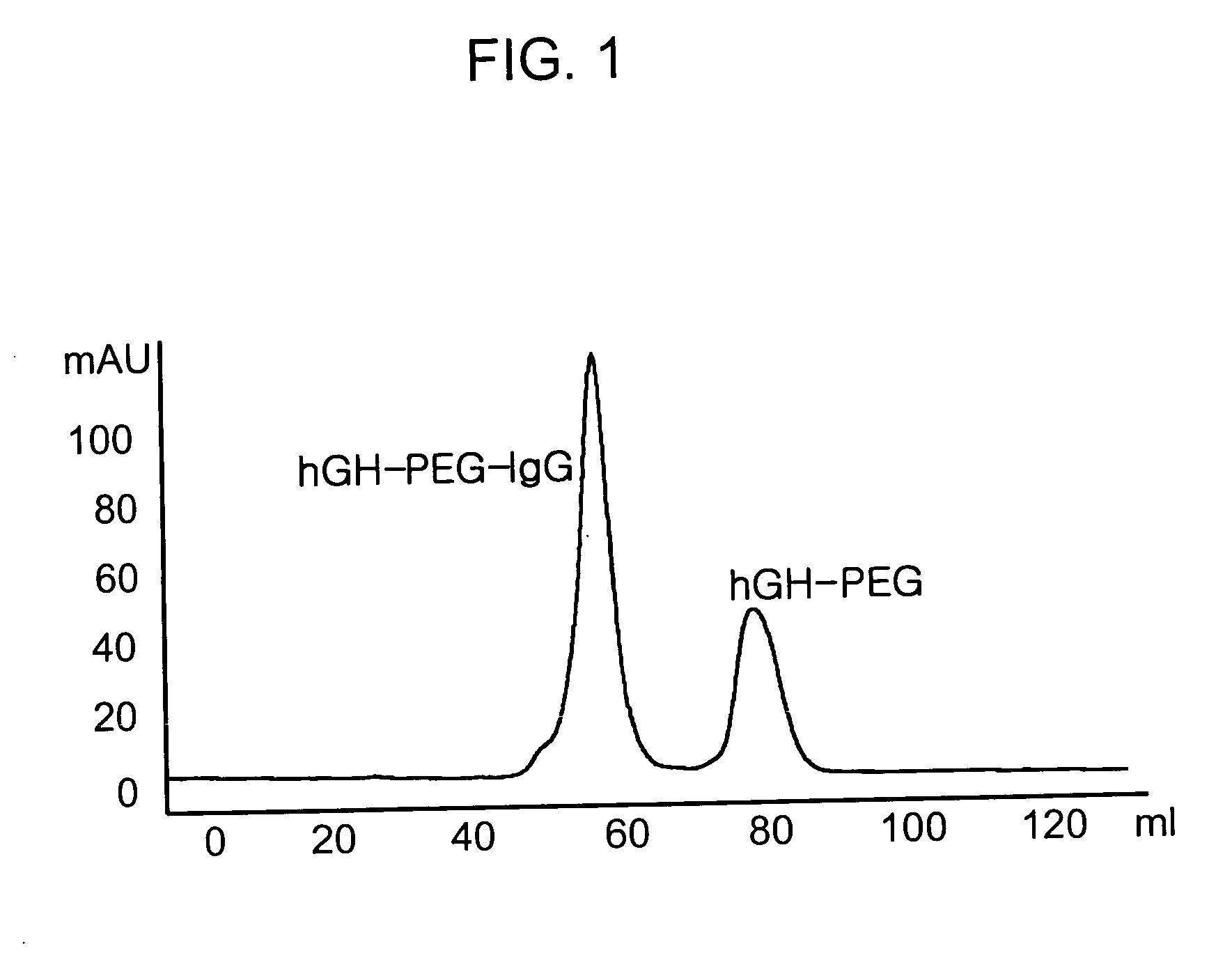 Physiologically active polypeptide conjugate having prolonged in vivo half-life