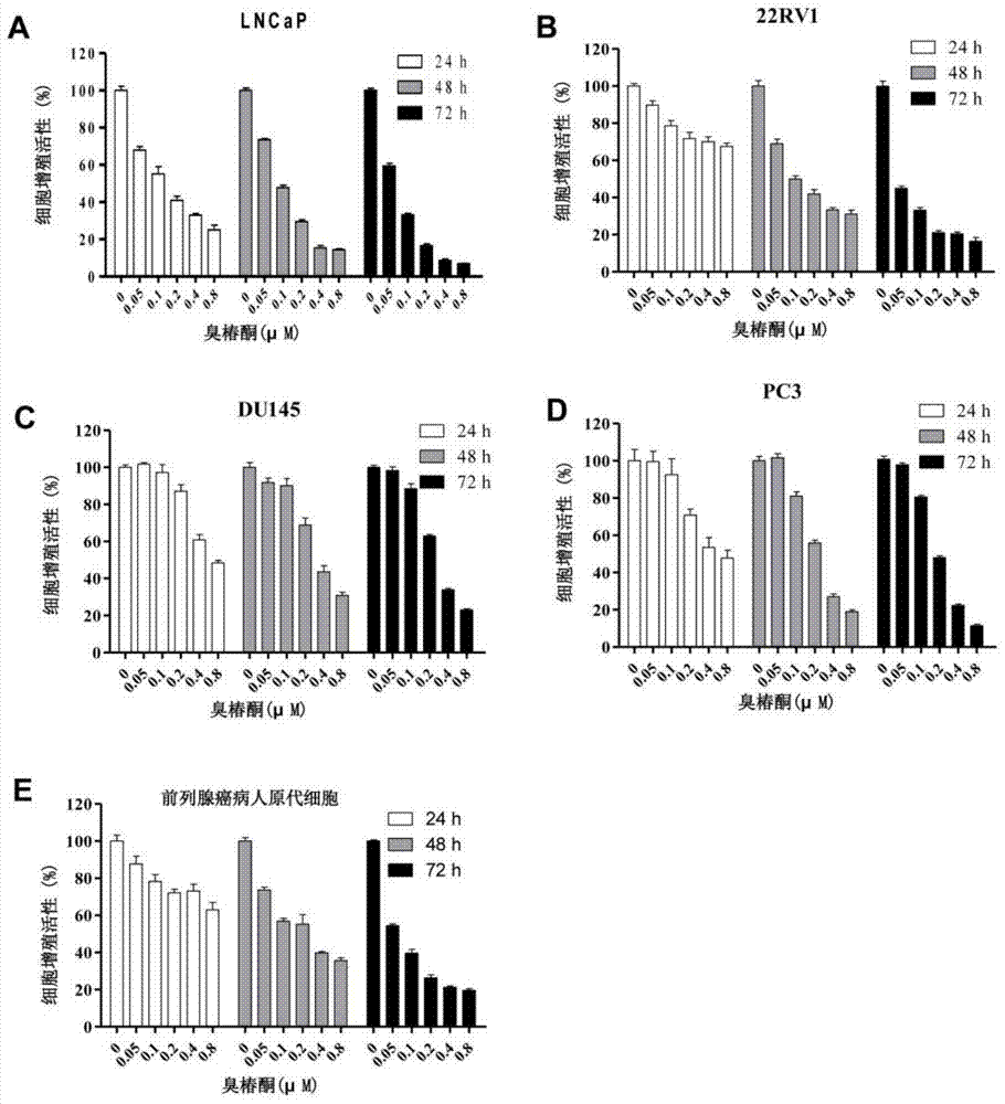 Application of ailanthonone in preparation of medicine for treating prostate disease