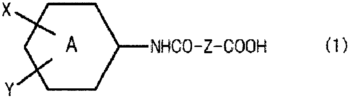 Resist underlayer film-forming composition comprising amide group-containing polyester