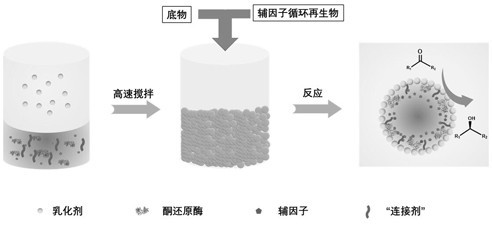 Pickering emulsion and method for preparing chiral alcohol compound based on enzyme catalysis of Pickering emulsion