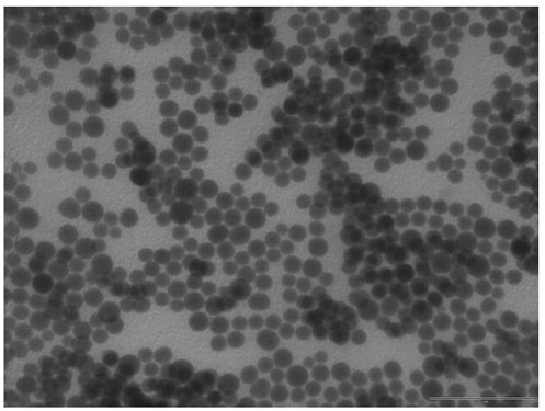 Pickering emulsion and method for preparing chiral alcohol compound based on enzyme catalysis of Pickering emulsion