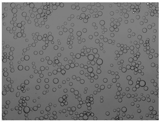 Pickering emulsion and method for preparing chiral alcohol compound based on enzyme catalysis of Pickering emulsion