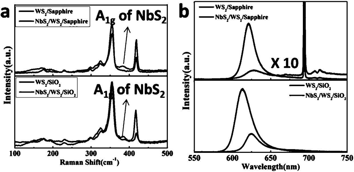 Tungsten disulfide/niobium disulfide heterojunction nanosheet
