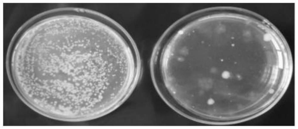 Synthesis method and application of UV-cured bactericidal anti-static resin material