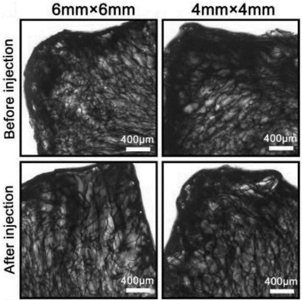 Sericin conductive hydrogel, preparation method thereof and scaffold prepared by sericin conductive hydrogel