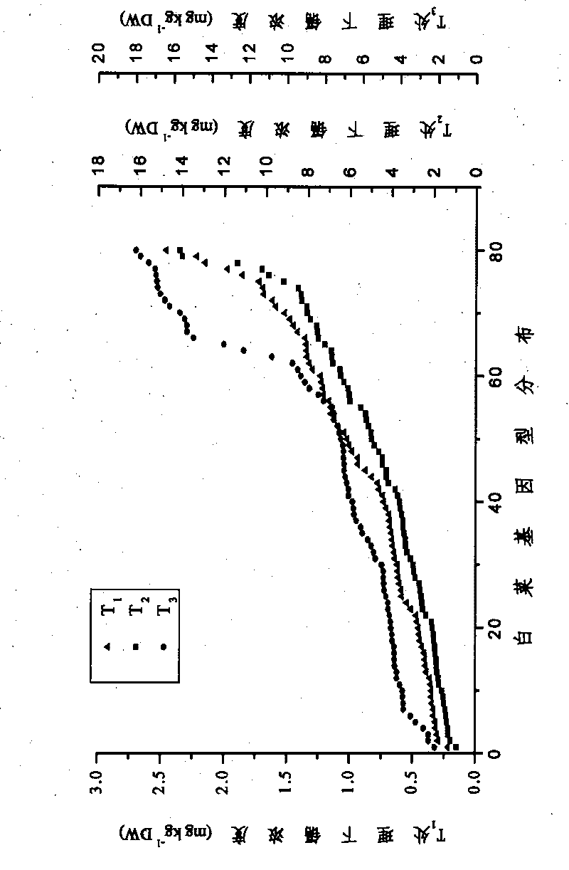 Method for judging and screening low-accumulation plants