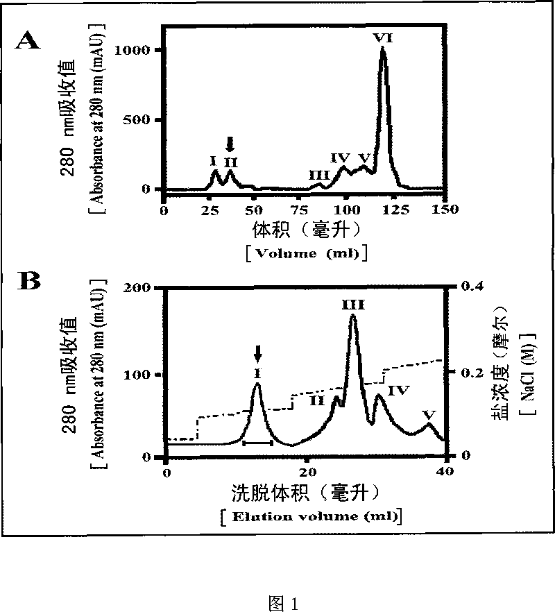 Bombina maxima non-crystalline beta gamma-crystallin and trefoil factor protein compound ,gene as well as preparation and use thereof