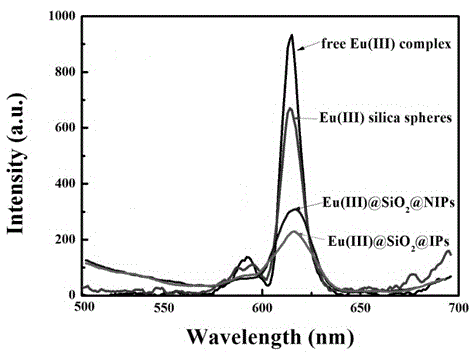 Preparation method of rare-earth fluorescent molecularly imprinted membrane and application of rare-earth fluorescent molecularly imprinted membrane